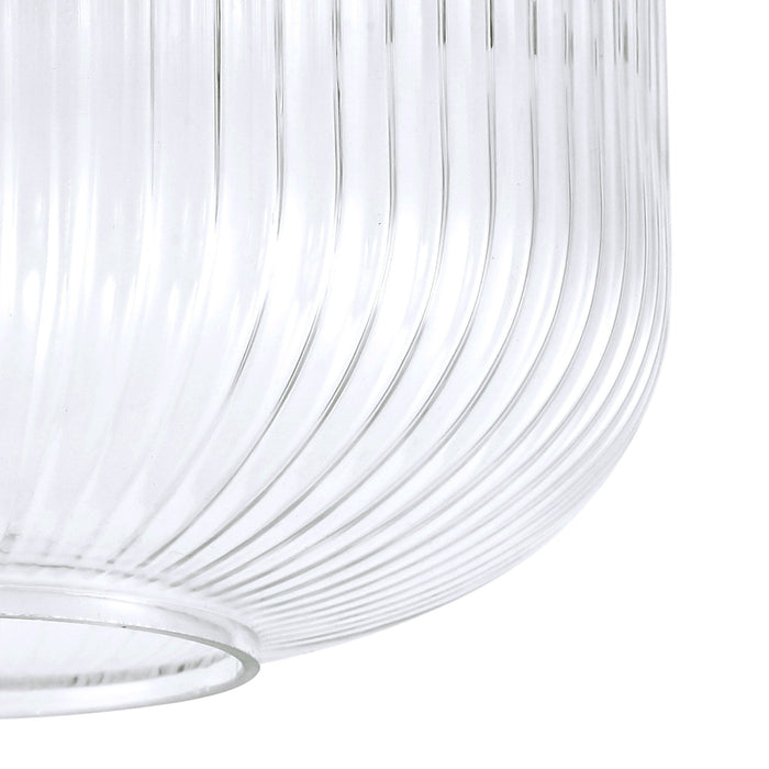 Nelson Lighting NL83019 Acme Shade Clear