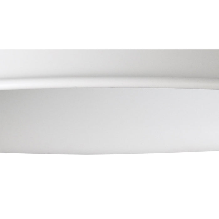 Nelson Lighting NL79179 Apollo Shade White