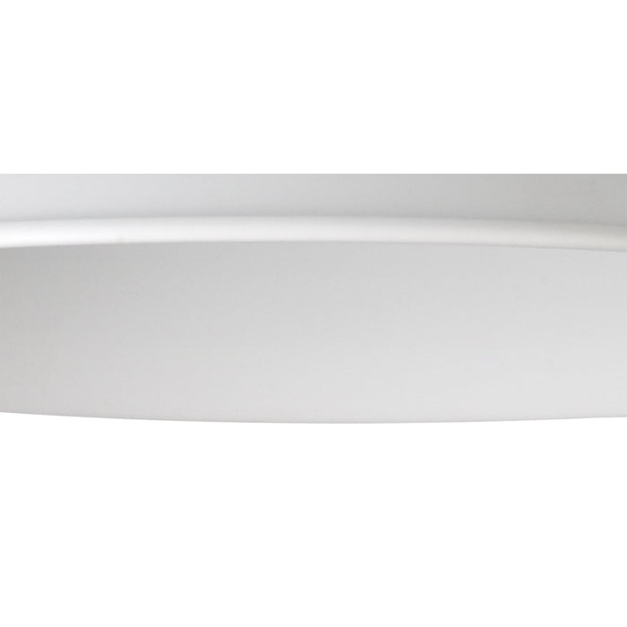 Nelson Lighting NL79359 Apollo Shade White