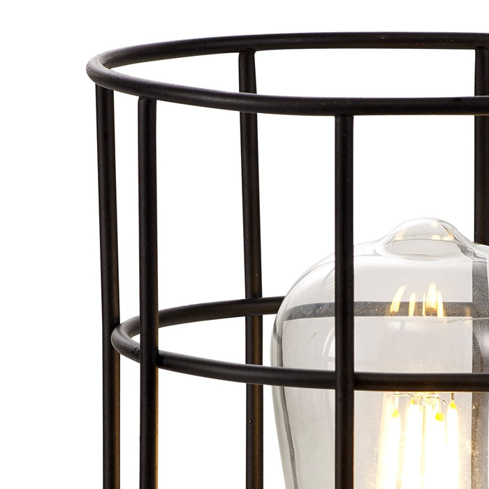 Nelson Lighting NL79769 Apollo Shade Black