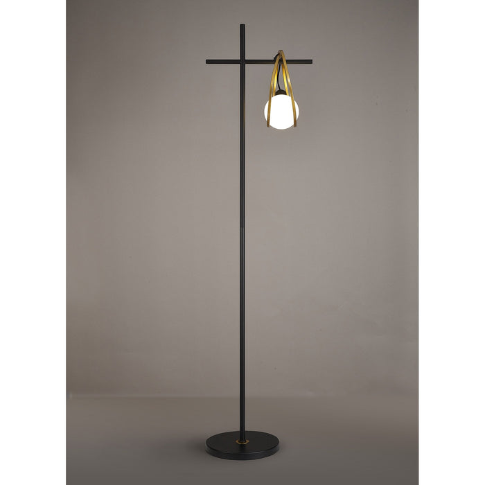 Nelson Lighting NL86769 Candio 1 Light Floor Lamp Matt Black Painted Gold