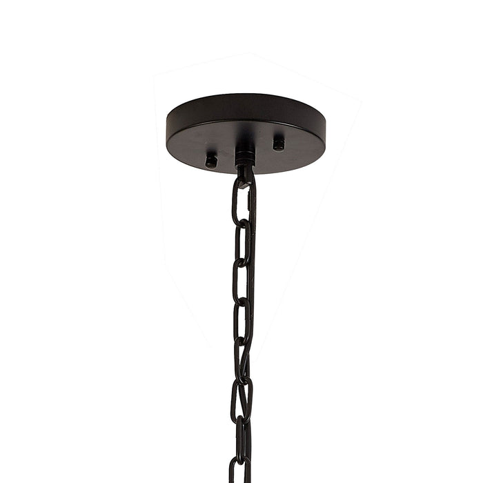 Nelson Lighting NL88259 Clover 16 Light Round Pendant Matt Black Smoke