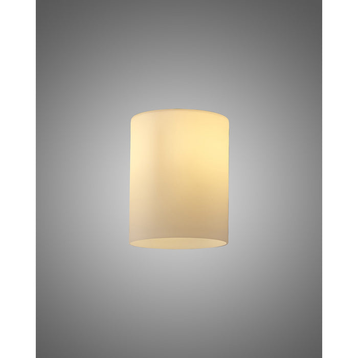 Nelson Lighting NL91019 Iona Shade Opal