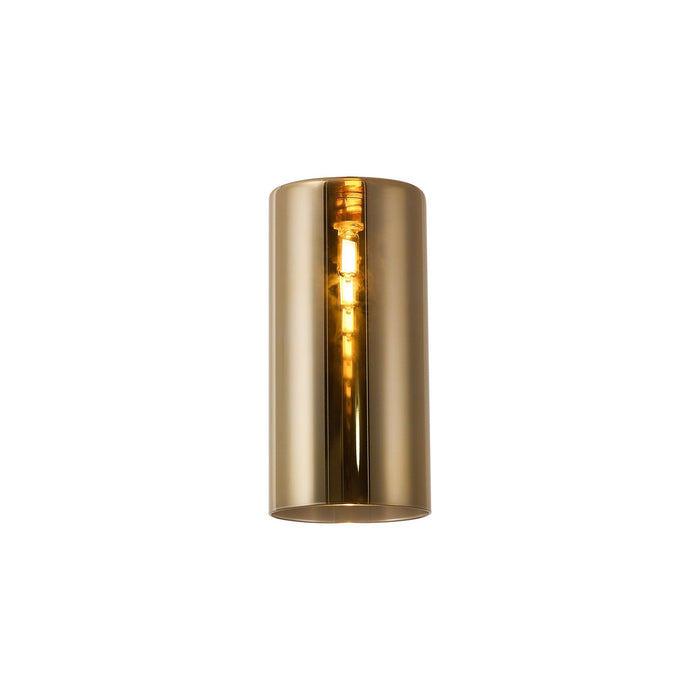 Nelson Lighting NL91819 Iona Shade Gold