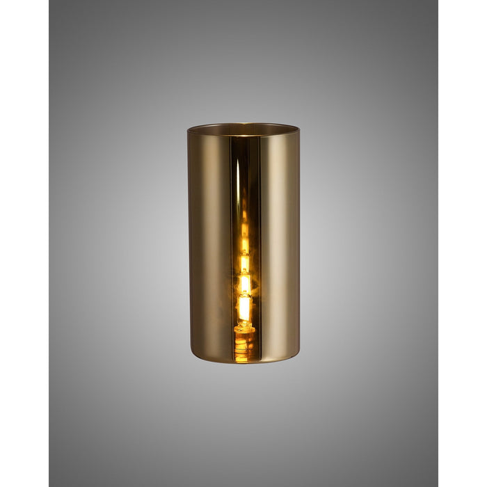 Nelson Lighting NL91819 Iona Shade Gold