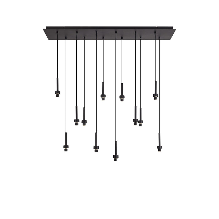 Nelson Lighting NL92649 Iona 12 Light Linear Pendant Satin Black