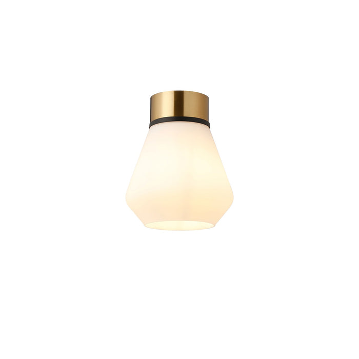 Nelson Lighting NLK15719 Raibon 1 Light Ceiling Light Brass Opal