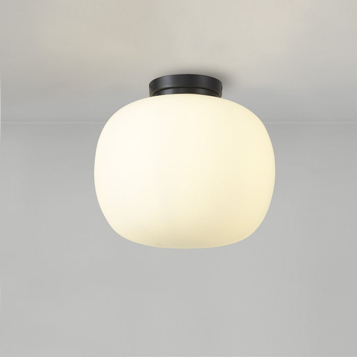 Nelson Lighting NL86429 Sabus 1 Light Flush Ceiling Light Matt Black Frosted White