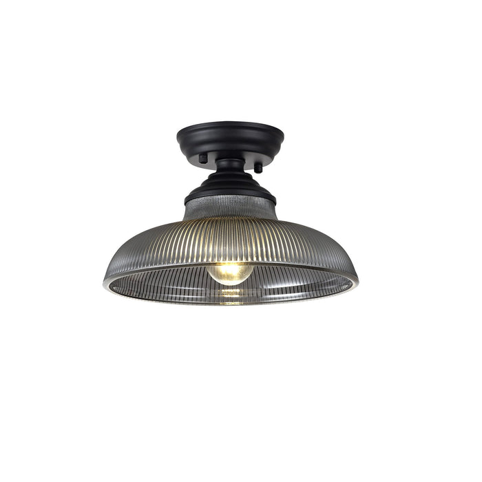 Nelson Lighting NLK16029 Tabion 1 Light Flush Ceiling Light Matt Black Smoked