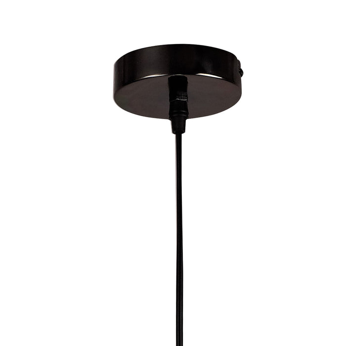 Nelson Lighting NL71389 Davie Small Pendant 1 Light Black Nickel