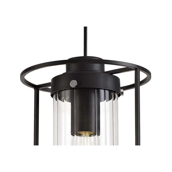 Nelson Lighting NL75859 Riannon Single Pendant 1 Light Black/Clear Glass