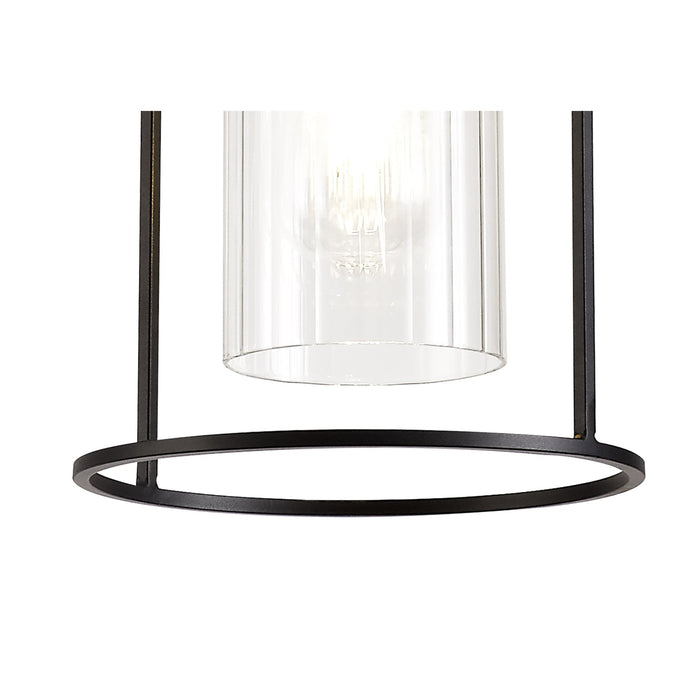 Nelson Lighting NL75859 Riannon Single Pendant 1 Light Black/Clear Glass