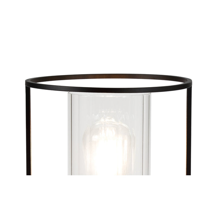 Nelson Lighting NL75889 Riannon Table Lamp 1 Light Black/Clear Glass