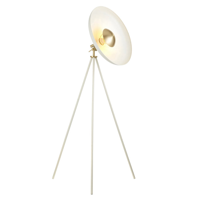 Nelson Lighting NL946563 1 Light Floor Lamp Warm White & Brushed Brass Plate